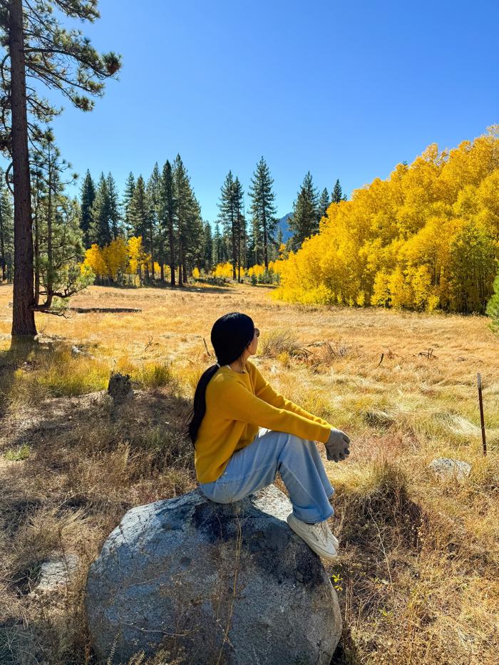 Social media post by tahoewithgig