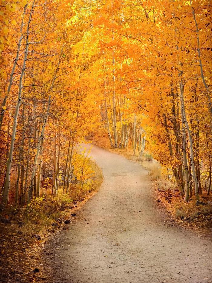 Social media post by visitlaketahoe_official